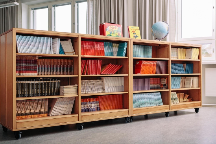 Solid wood Lundia shelving in a home work space